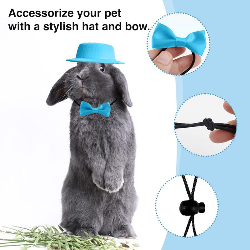 hokable 2pcs Guinea Pig Clothes Small Animal Bow Tie Pet Hat Costume Set Role Play Cute Pet Hat Bow Tie for Hamster Guinea Pig Rabbit Chinchilla Hedgehog（Blue hat + Blue Bow tie） - Image 4
